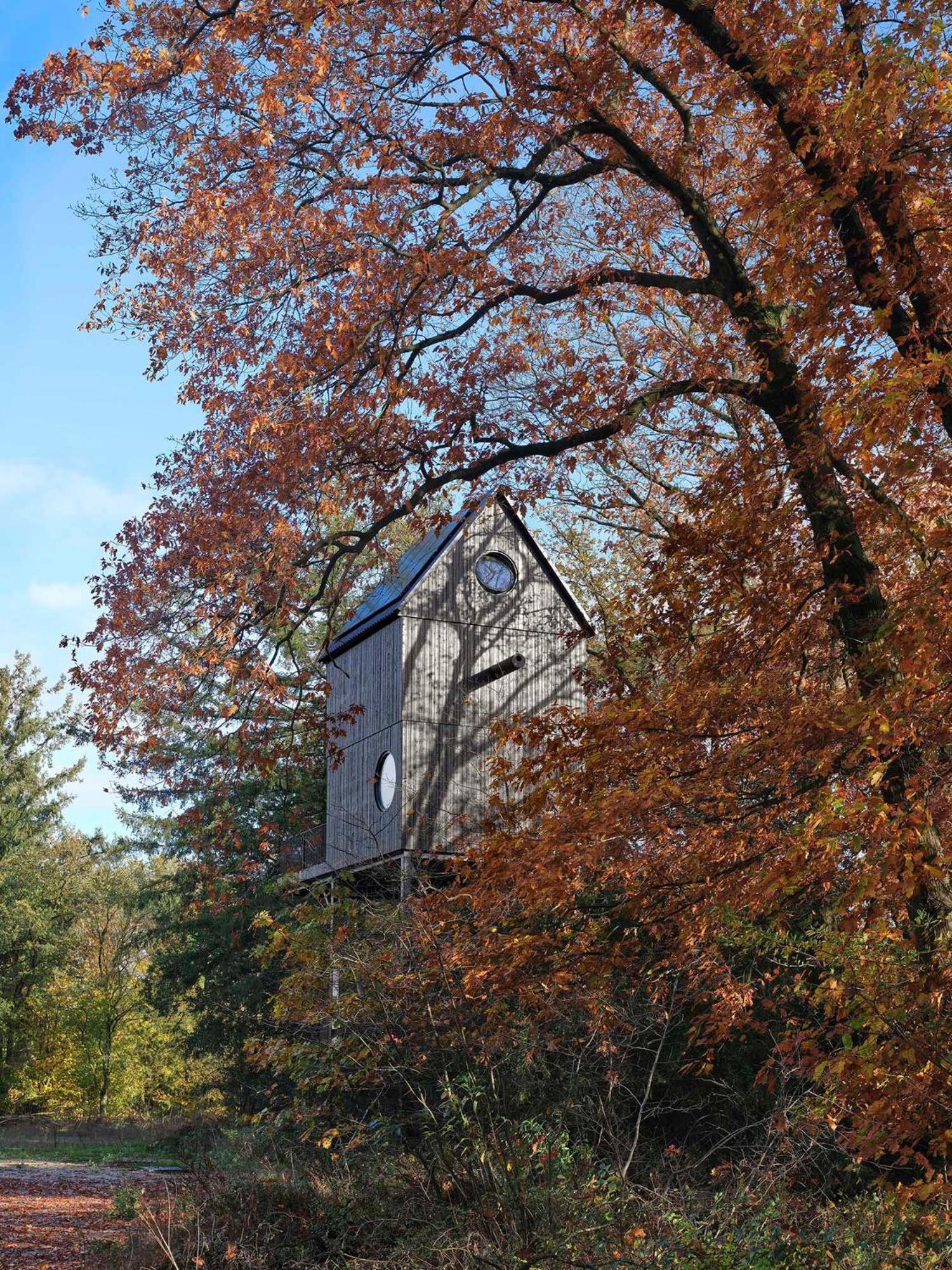 Buitenverblijf Nest Arnhem Bagian luar foto