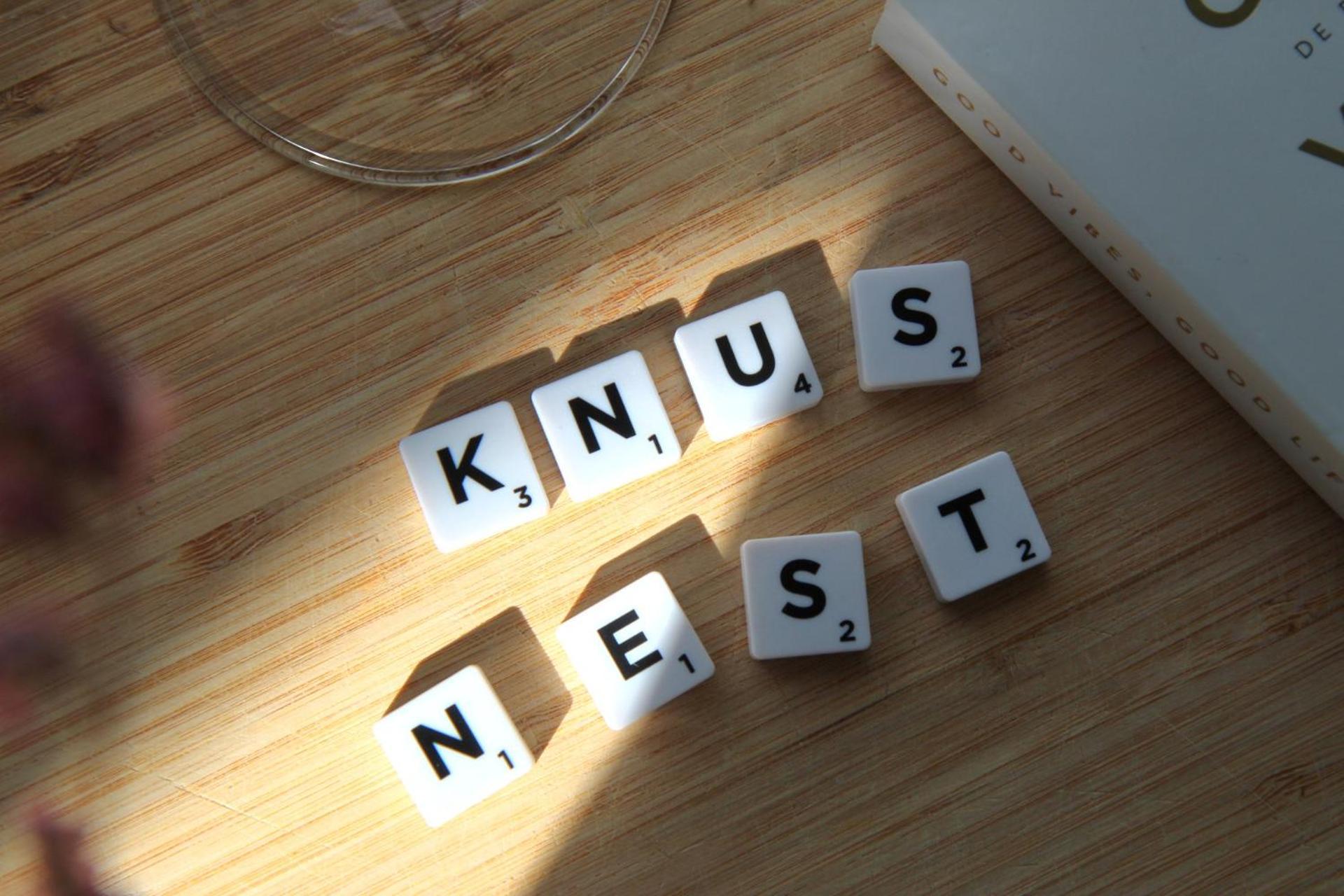 Buitenverblijf Nest Arnhem Bagian luar foto