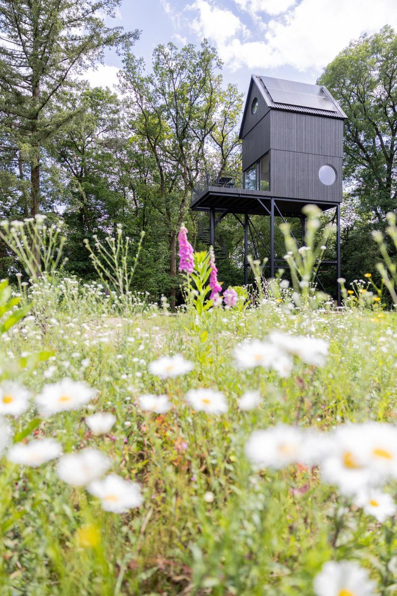 Buitenverblijf Nest Arnhem Bagian luar foto